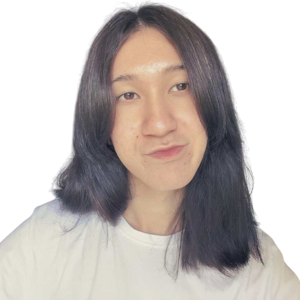 Damir - Polish Language Tutor